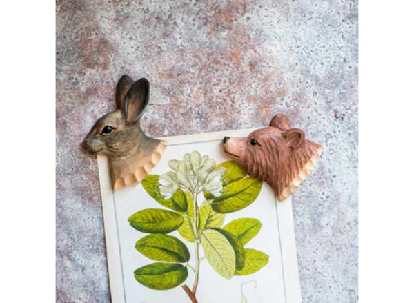 Magnet Hare