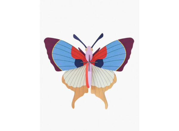 Plum Fringe Butterfly - Image 3