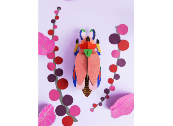 Giant Lady Beetle