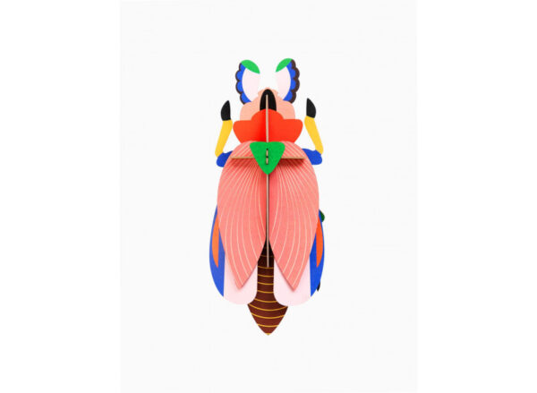 Giant Lady Beetle - Image 3