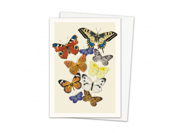 Greeting Cards Butterlies