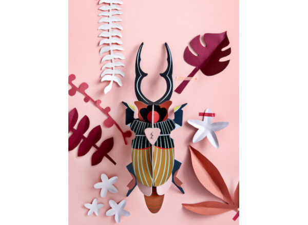 Stag Beetle - Giant