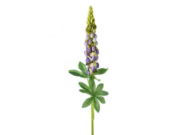 Lupin 80cm lilla