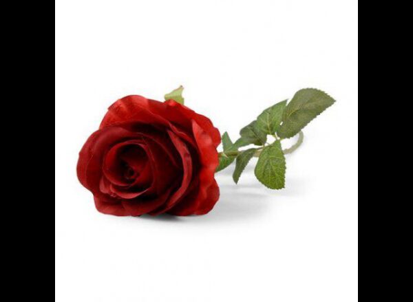 Rose rød 57cm