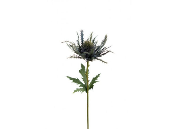 Tidsel 25cm Blå