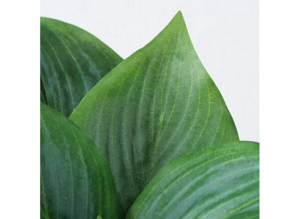 Plante Grøn 15cm - Image 2