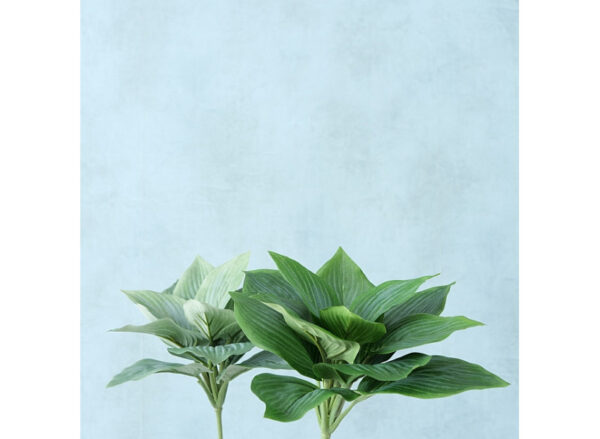 Plante Grøn 15cm - Image 3