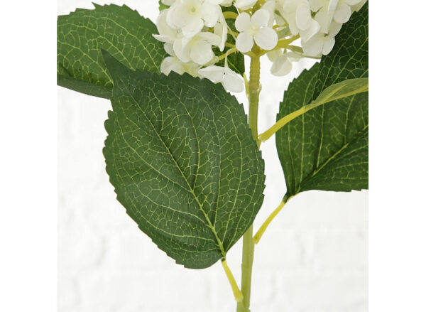 Hortensia Hvid 98cm - Image 2