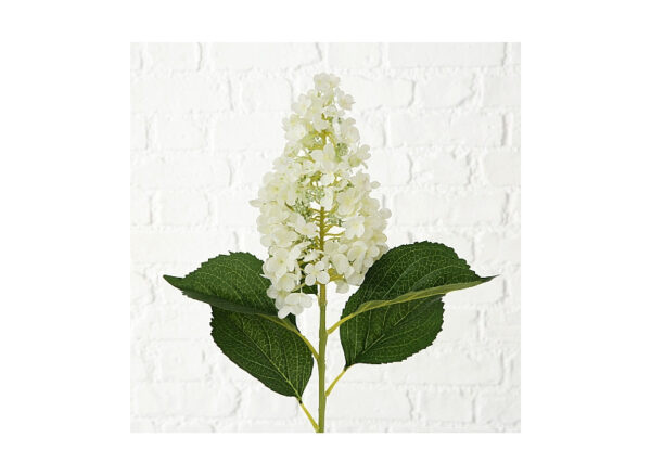 Hortensia Hvid 98cm - Image 3