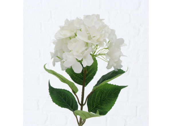 Hortensia Hvid 84cm
