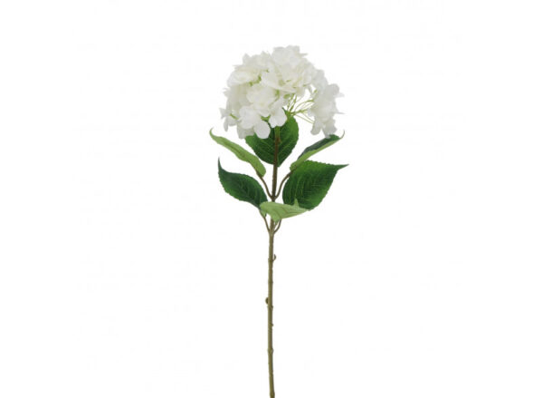 Hortensia Hvid 84cm - Image 2