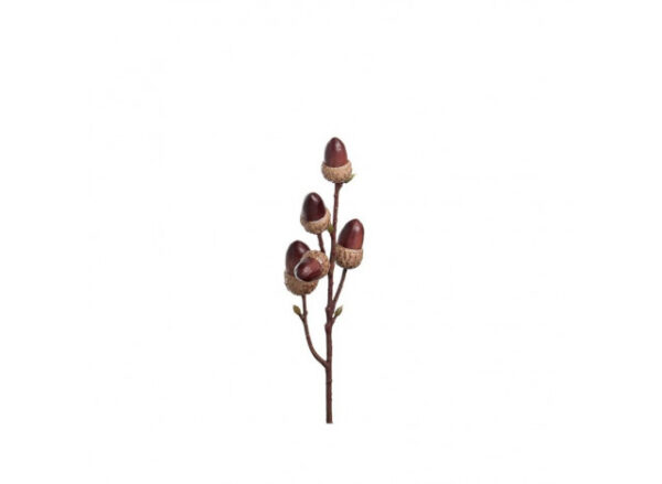 Kvist m agern 30cm