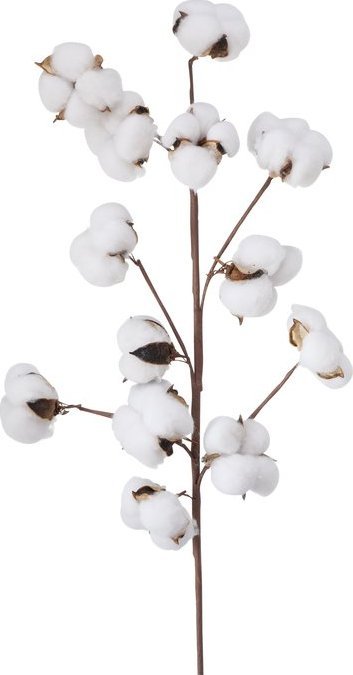 Dekogren Bommuld H68cm - Image 5