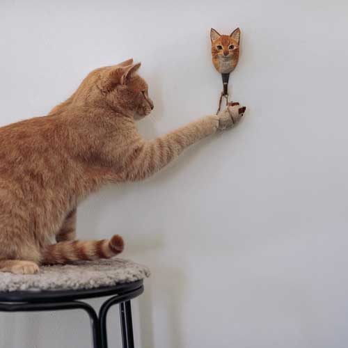 Dyreknage Huskat - Image 3