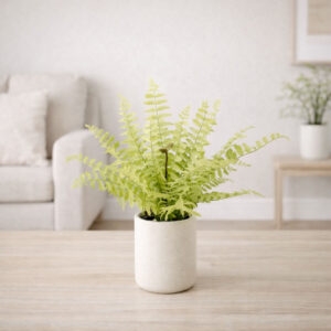Bregne i potte 30 cm – Kunstig plante