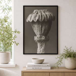 Karl Blossfeldt plakat 50x70 Papaver Orientale botanisk sort hvid plakat