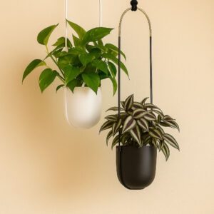 Bolo Planteophæng m potte