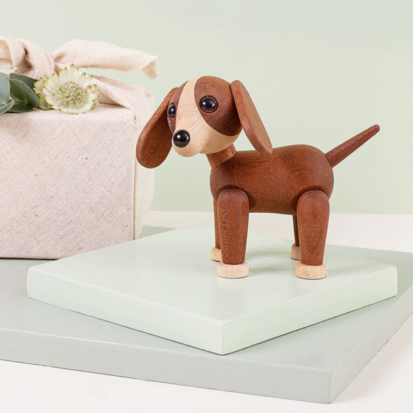 Hunden Twix - Image 5