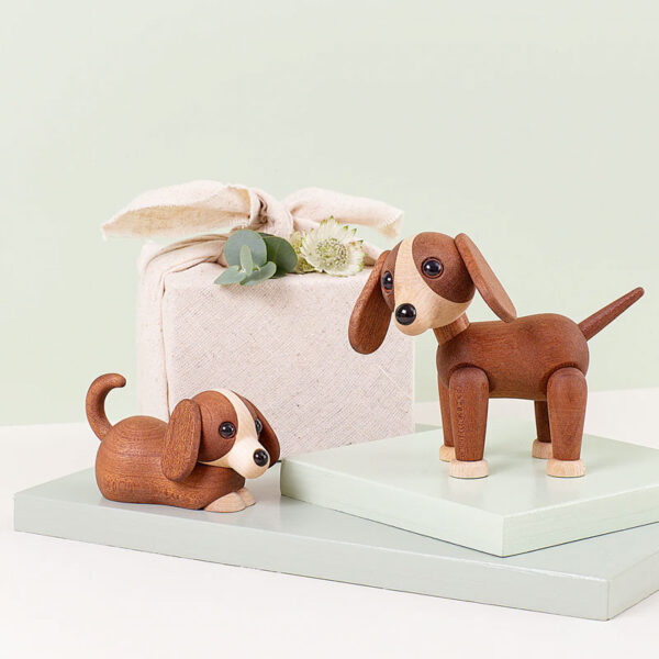 Hunden Jojo - Image 5